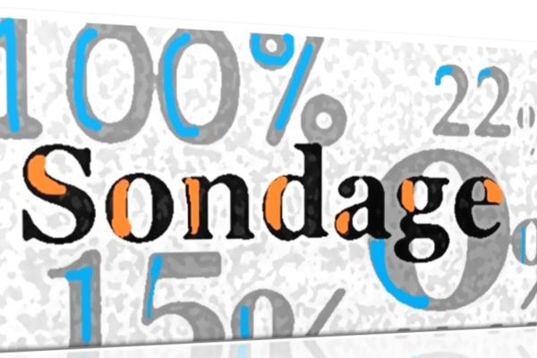 La bonne surprise du premier semestre